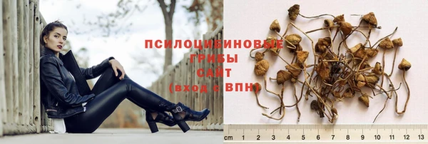 прущий лед Арсеньев